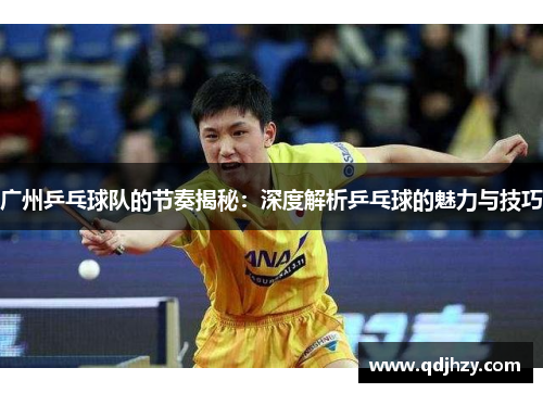 广州乒乓球队的节奏揭秘：深度解析乒乓球的魅力与技巧